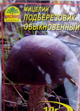 Мицелий Подберезовик обыкновенный, 10 г